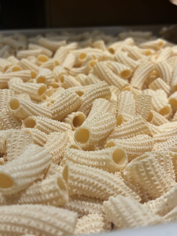 Rigatonis frais